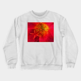 closeup of single floral fantasy with delicate stamens Crewneck Sweatshirt